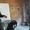 Masons Training at Nuwakot Nepal